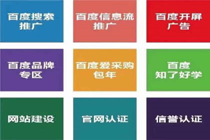sem竞价托管代运营的五大经典案例